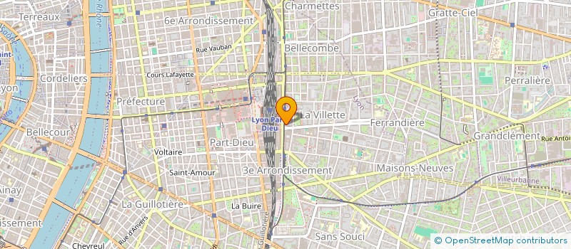 localisation de l'entreprise INDIVISION DELACOU PETIT  LYON