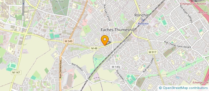 localisation de l'entreprise INDIVISION DELANNOY DELMONT  FACHES-THUMESNIL