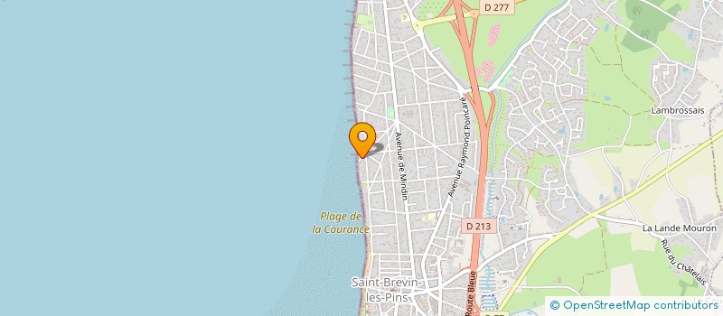localisation de l'entreprise INDIVISION DELANOE à SAINT-BREVIN-LES-PINS
