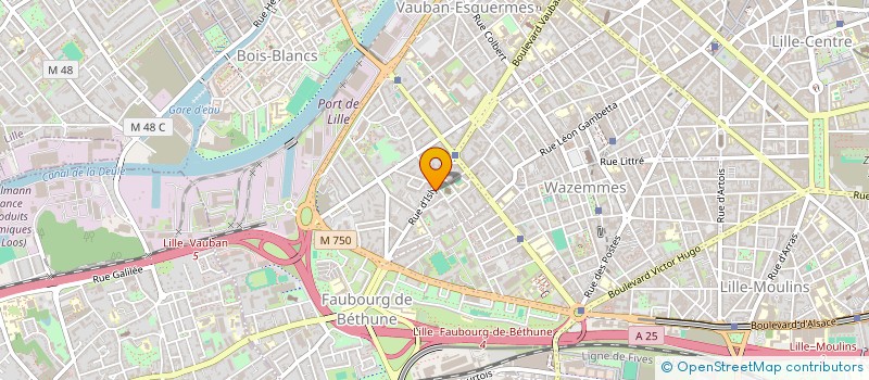 localisation de l'entreprise INDIVISION DELECROIX à LILLE