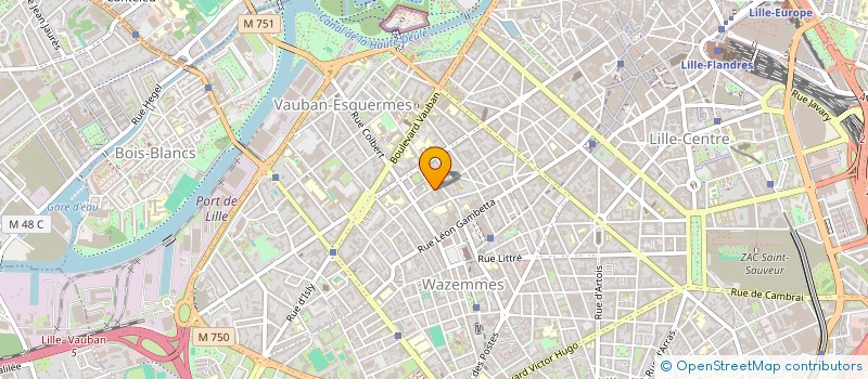 localisation de l'entreprise INDIVISION DELESPIERRE à LILLE