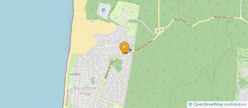 localisation de l'entreprise INDIVISION DELFOSSE  BISCARROSSE