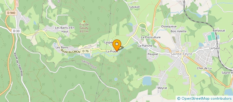 localisation de l'entreprise INDIVISION DEMARGNE à SAINTE-FEYRE