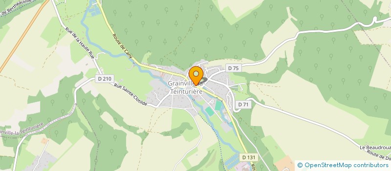 localisation de l'entreprise INDIVISION DEMESMAY HENRI  SAINT-MARTIN-AUX-BUNEAUX