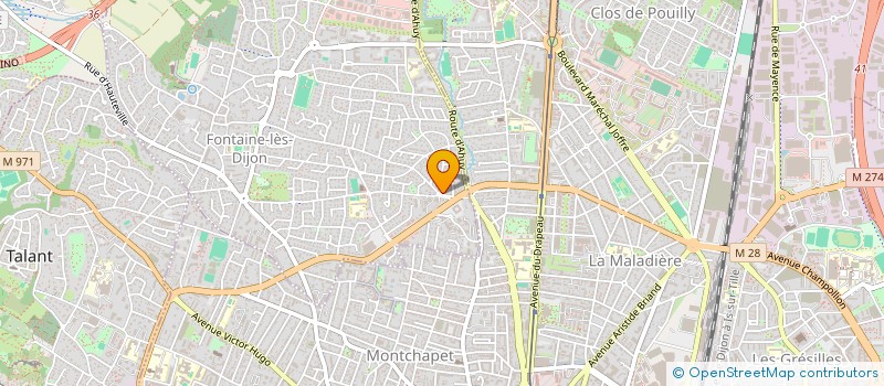 localisation de l'entreprise INDIVISION DEMESMAY-MICHAUD  FONTAINE-LES-DIJON