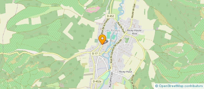 localisation de l'entreprise INDIVISION DEMUSSY  LES RICEYS