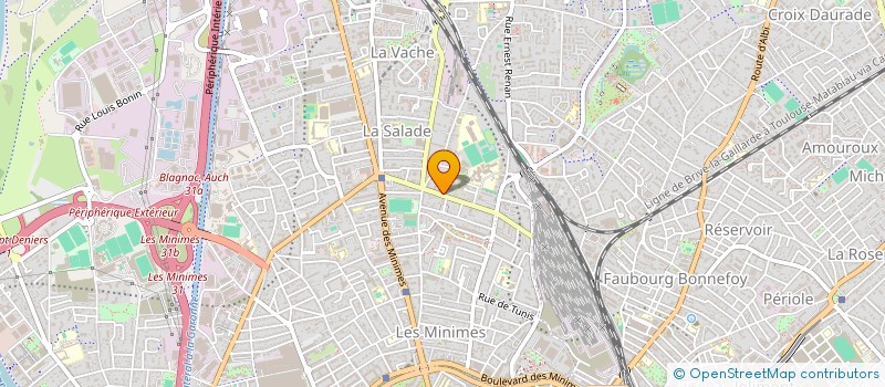 localisation de l'entreprise INDIVISION DENETRE MICHEL ET PUSSACQ LAURA à TOULOUSE