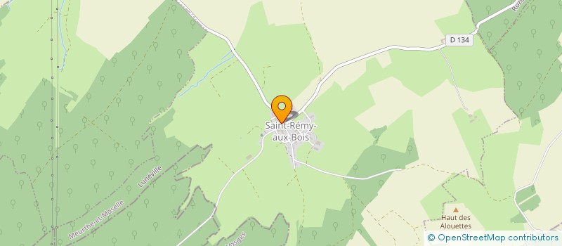 localisation de l'entreprise INDIVISION DIDON IRENE  SAINT-REMY-AUX-BOIS