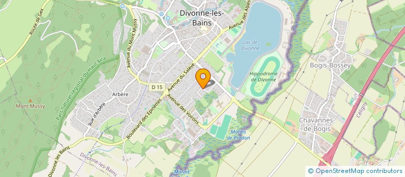 localisation de l'entreprise INDIVISION DIMITROV ATANAS DIMITROVA MARIA à DIVONNE-LES-BAINS