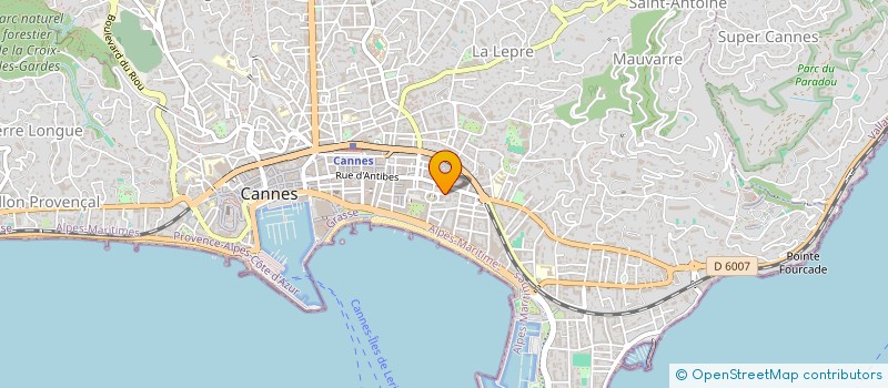 localisation de l'entreprise INDIVISION DIRK EKATARINA  CANNES