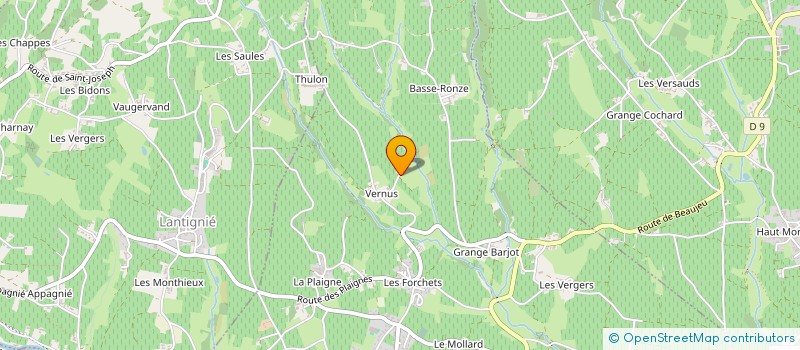 localisation de l'entreprise INDIVISION DOMAINE FRANCIS PLASSE  REGNIE-DURETTE
