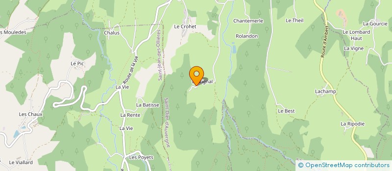 localisation de l'entreprise INDIVISION DOZOLME  GEORGES ET JEANNE  SAINT-DIER-D'AUVERGNE