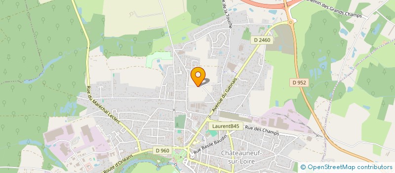localisation de l'entreprise INDIVISION DROUIN à CHATEAUNEUF-SUR-LOIRE