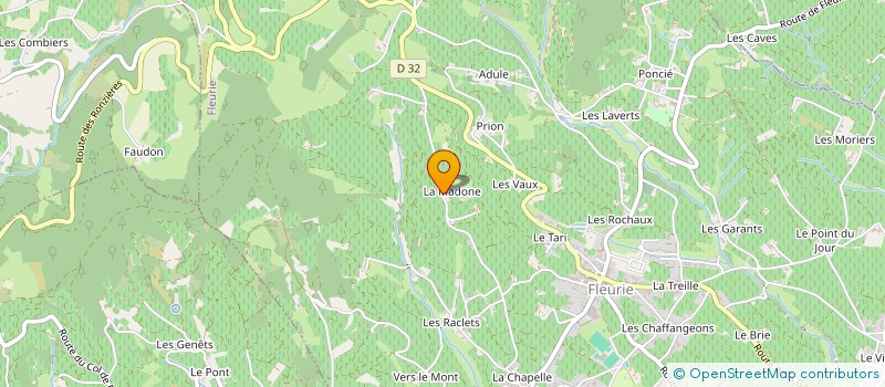 localisation de l'entreprise INDIVISION DUMAS à FLEURIE