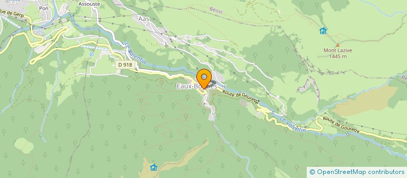 localisation de l'entreprise INDIVISION DUPEYRON/LABADIE VICTORIA  EAUX-BONNES