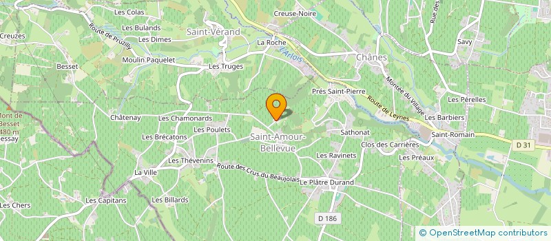 localisation de l'entreprise INDIVISION FAVIER à SAINT-AMOUR-BELLEVUE