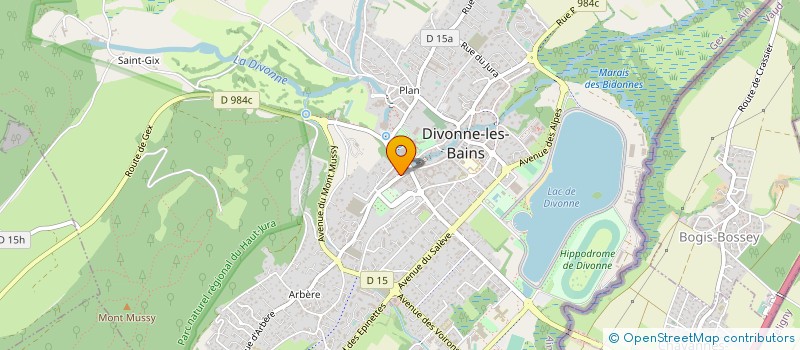 localisation de l'entreprise INDIVISION FLAJOULOT-BARRET à DIVONNE-LES-BAINS