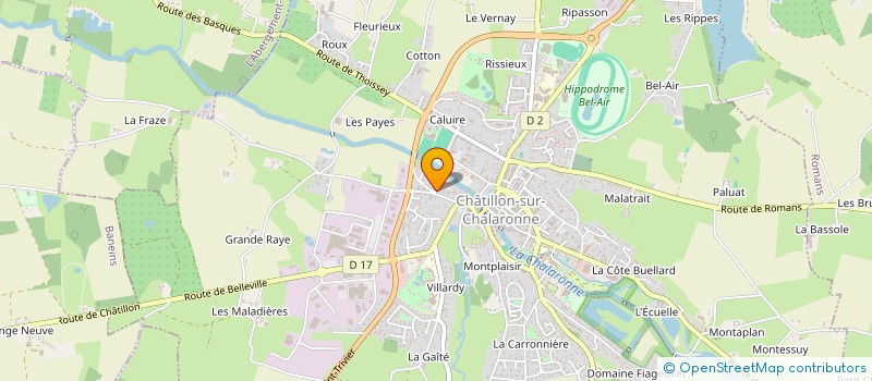 localisation de l'entreprise INDIVISION FOURNERY LOUIS  CHATILLON-SUR-CHALARONNE