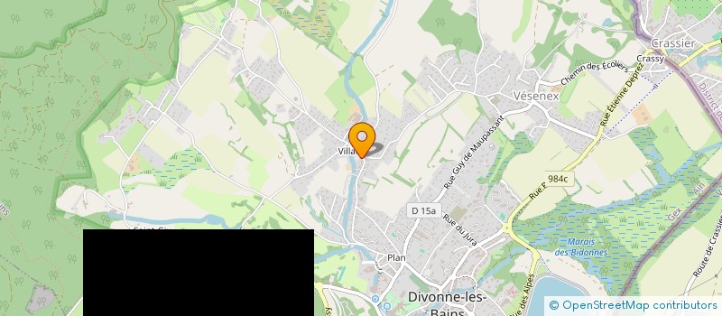 localisation de l'entreprise INDIVISION FRANCHON FRIGOUT à DIVONNE-LES-BAINS