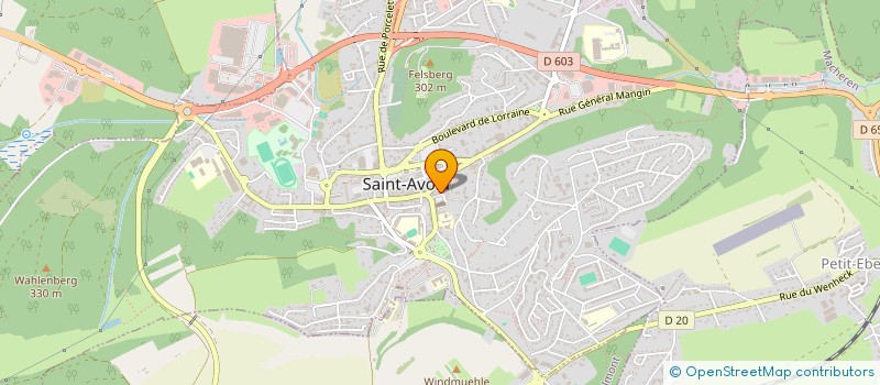 localisation de l'entreprise INDIVISION FRIANT-MICHEL à SAINT-AVOLD