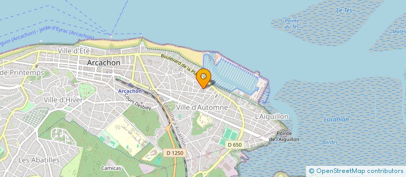 localisation de l'entreprise INDIVISION FRISON LMNP  ARCACHON