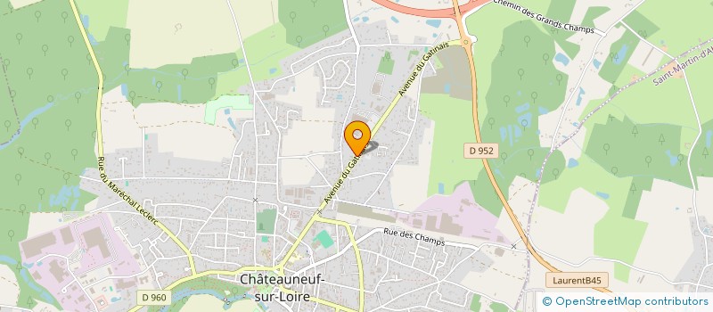 localisation de l'entreprise INDIVISION GABRIEL GOUREAU à CHATEAUNEUF-SUR-LOIRE