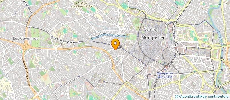 localisation de l'entreprise INDIVISION GEHIN / RODRIGUEZ FIGUEREDO  MONTPELLIER