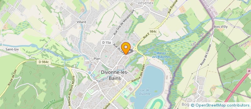 localisation de l'entreprise INDIVISION GENER à DIVONNE-LES-BAINS