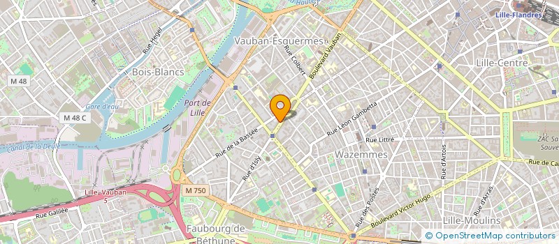 localisation de l'entreprise INDIVISION GINDAY PATRICE ET DUBUC MARJORIE  LILLE