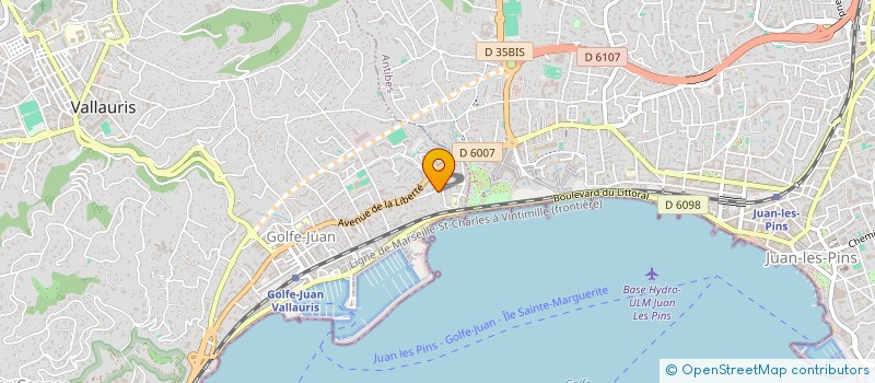 localisation de l'entreprise INDIVISION GOLDBERG  VALLAURIS