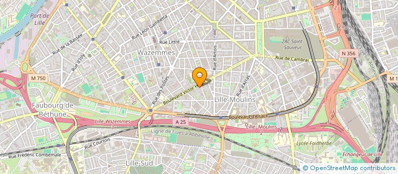 localisation de l'entreprise INDIVISION GOLIARD AURELIEN ET BALSAMO LILIAN  LILLE