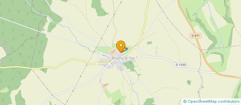 localisation de l'entreprise INDIVISION GOURGIN PITOISET  BLIGNY-LE-SEC