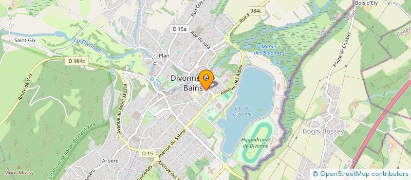 localisation de l'entreprise INDIVISION HALPIN -DILLON à DIVONNE-LES-BAINS