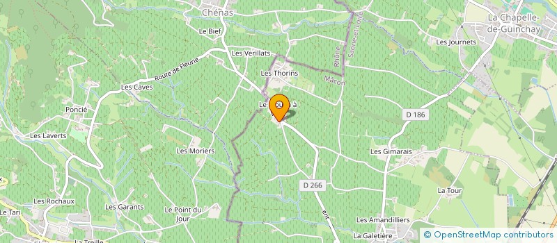 localisation de l'entreprise INDIVISION HERITIERS GREFFET à ROMANECHE-THORINS