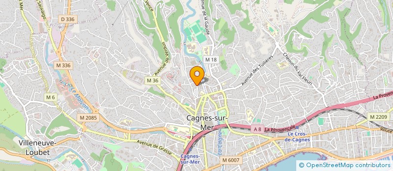 localisation de l'entreprise INDIVISION ILIADE  CAGNES-SUR-MER