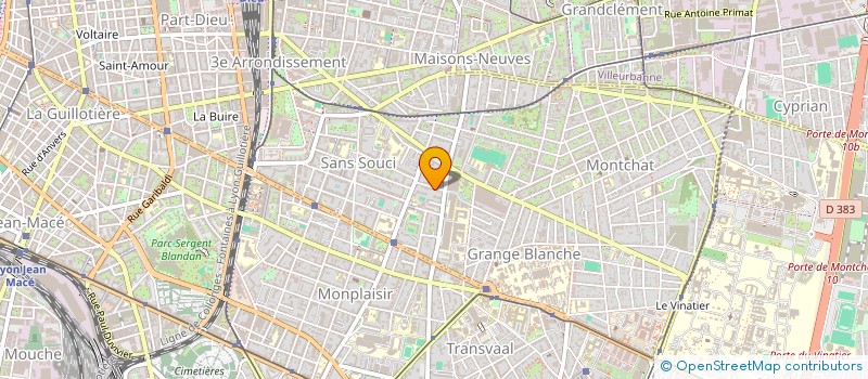 localisation de l'entreprise INDIVISION JOUANNEAU-PEDUZZI  LYON