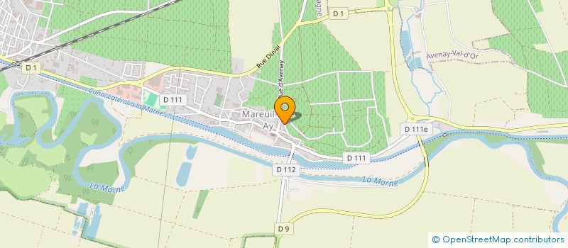 localisation de l'entreprise INDIVISION JULIA ANGELLIER  AVENAY VAL D'OR