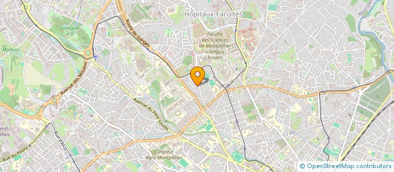 localisation de l'entreprise INDIVISION KOLLEN LAURA ET GAVOTTO ARTHUR  MONTPELLIER