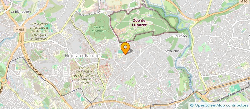 localisation de l'entreprise INDIVISION LA GALERIE à MONTPELLIER