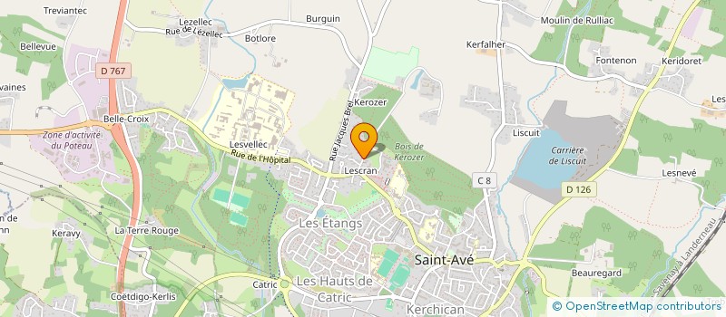 localisation de l'entreprise INDIVISION LANGLO GUY ABEL NEVE JOSIANNE  SAINT-AVE