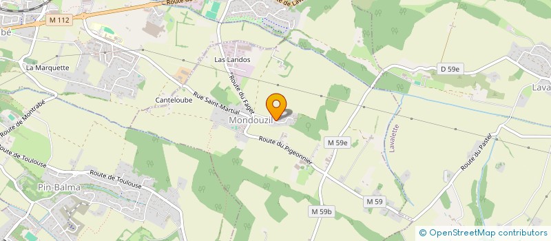 localisation de l'entreprise INDIVISION LASSERRE - DE BONNECAZE  MONDOUZIL