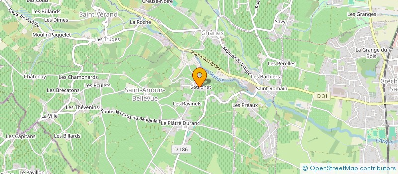 localisation de l'entreprise INDIVISION LASSERRE ROUSSELOT  SAINT-AMOUR-BELLEVUE