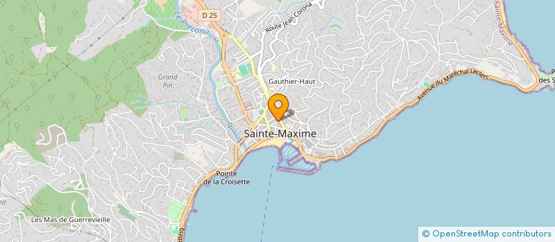 localisation de l'entreprise INDIVISION LAURIANE VAQUIN ET BENOIT LESNE à SAINTE-MAXIME