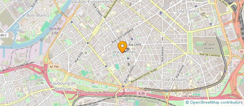 localisation de l'entreprise INDIVISION LEFEVRE - SOULAT à LILLE