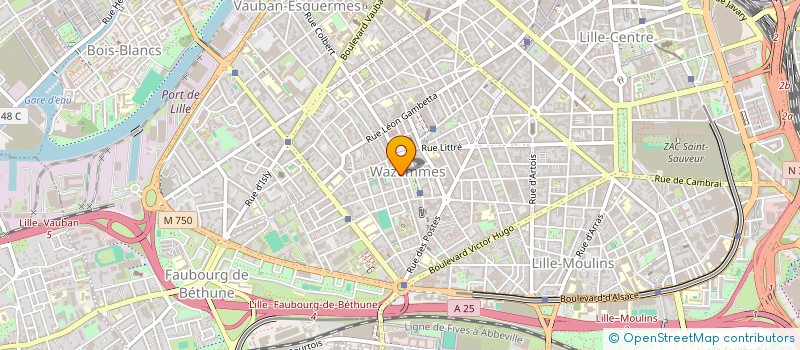 localisation de l'entreprise INDIVISION LEFORT / LUONG-POITOU à LILLE