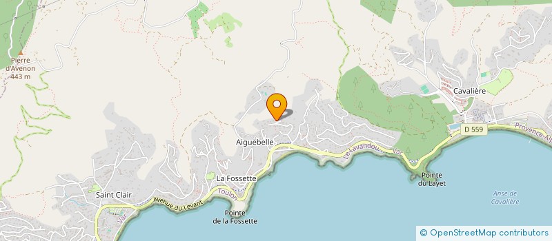 localisation de l'entreprise INDIVISION LEMAIRE à LE LAVANDOU