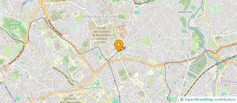 localisation de l'entreprise INDIVISION LEMIERRE BLUM à MONTPELLIER
