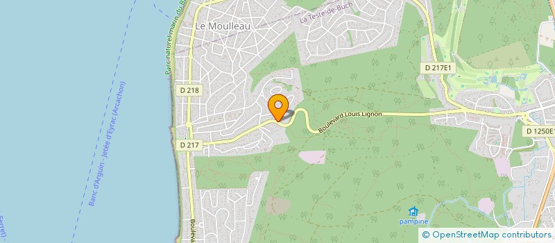 localisation de l'entreprise INDIVISION LES PINS DE LA FAMILLE à LA TESTE-DE-BUCH