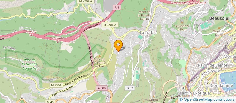localisation de l'entreprise INDIVISION LEYSSIEUX SCHNEIDER PLATINI à LA TURBIE