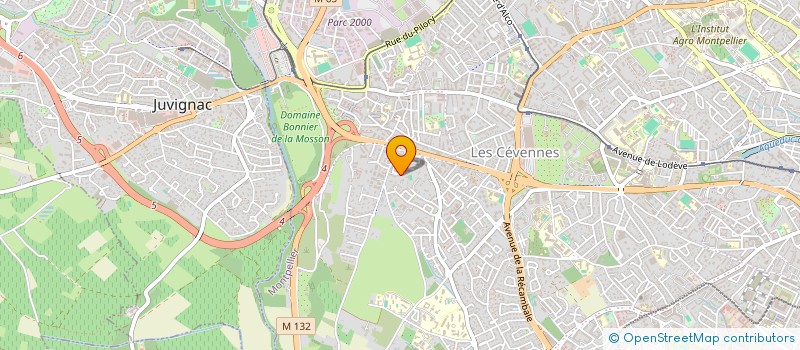 localisation de l'entreprise INDIVISION LMNP LYRE à MONTPELLIER